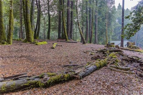 26625 Ridge, Willits, CA 95490 photo 14