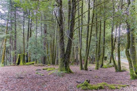 26625 Ridge, Willits, CA 95490 photo 18