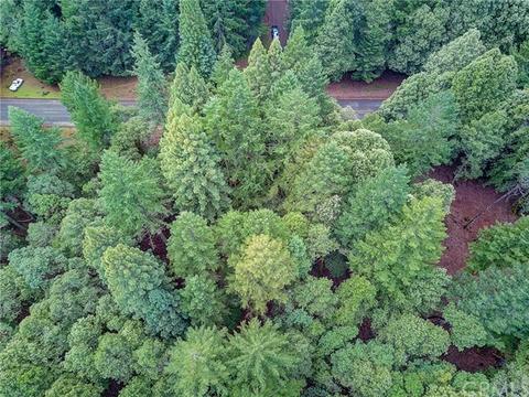 26625 Ridge, Willits, CA 95490 photo 6