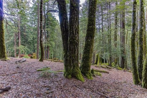 26625 Ridge, Willits, CA 95490 photo 19