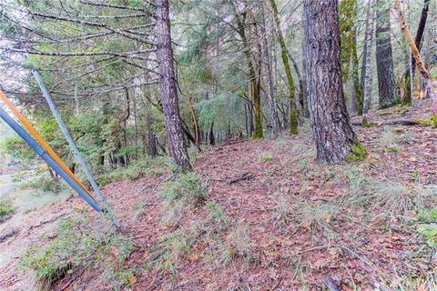 24154 Camellia, Willits, CA 95490 photo 10