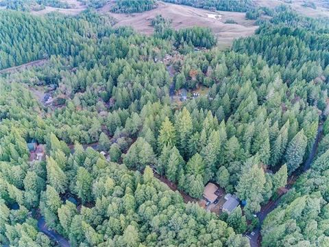 24154 Camellia, Willits, CA 95490 photo 9