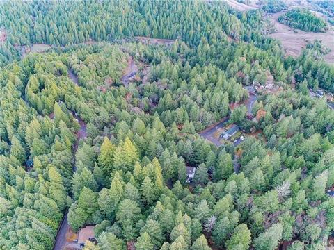 24154 Camellia, Willits, CA 95490 photo 7