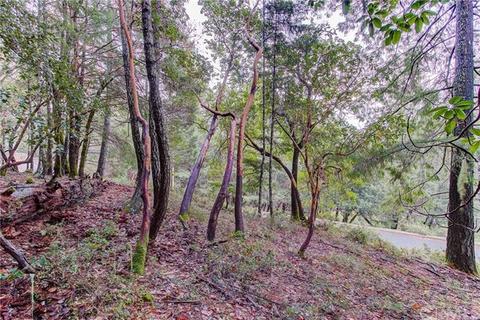 24154 Camellia, Willits, CA 95490 photo 13