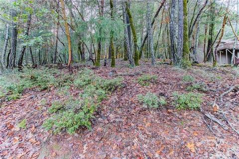 24154 Camellia, Willits, CA 95490 photo 8