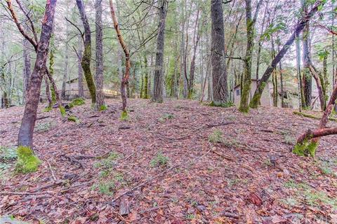 24154 Camellia, Willits, CA 95490 photo 12