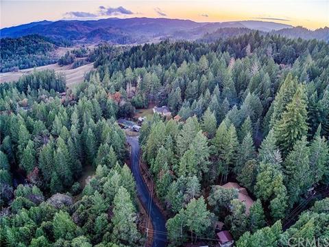 24154 Camellia, Willits, CA 95490 photo 1