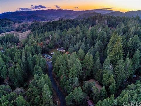 24154 Camellia, Willits, CA 95490 photo 3