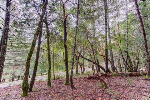 24154 Camellia, Willits, CA 95490 photo 11