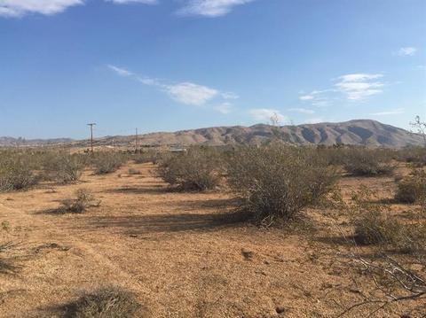 23079 Wren St, Apple Valley, CA 92307 photo 1