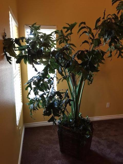 1260 Buckthorn Dr, Barstow, CA 92311 photo 16