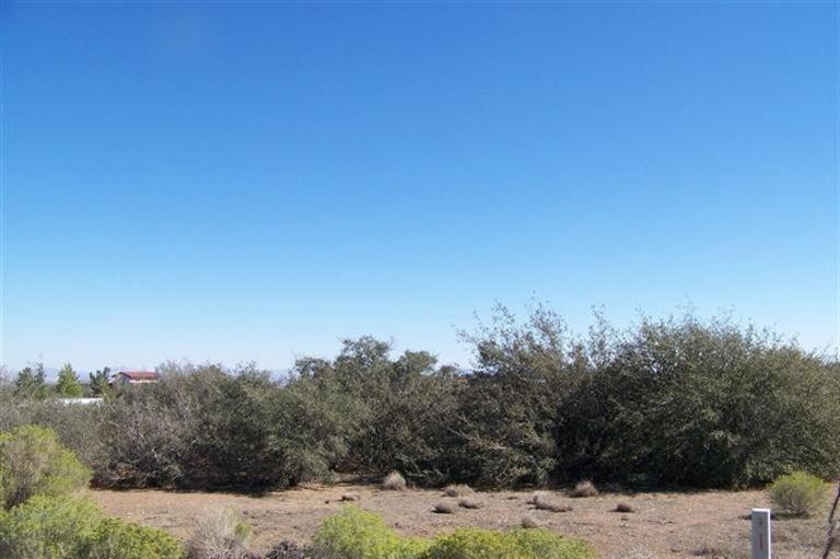 8141 Beaver, Phelan, CA 92371 photo 3