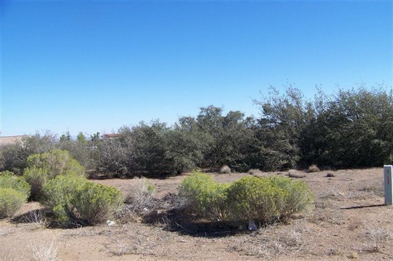 8141 Beaver, Phelan, CA 92371 photo 4