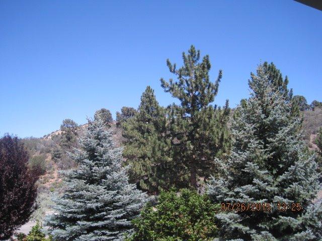 5227 Chaumont Dr, Wrightwood, CA 92397 photo 8