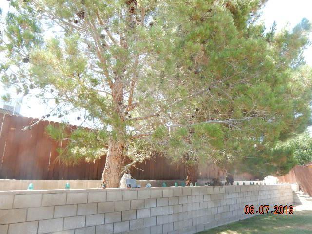 660 Yucca Ave, Barstow, CA 92311 photo 13