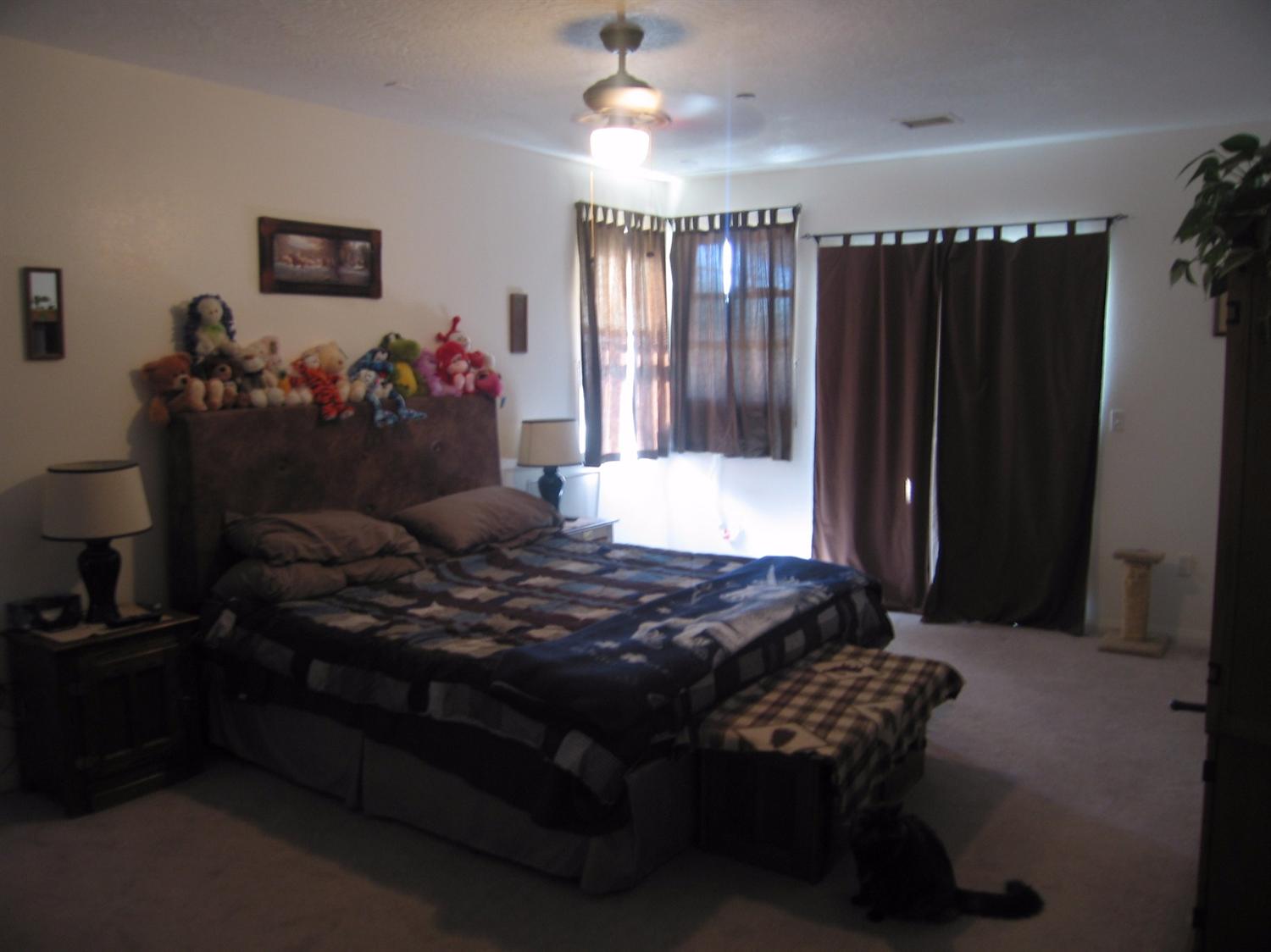 10281 Riggins Rd, Phelan, CA 92371 photo 8