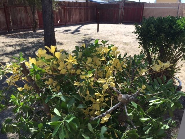 Undisclosed, Yermo, CA 92398 photo 47