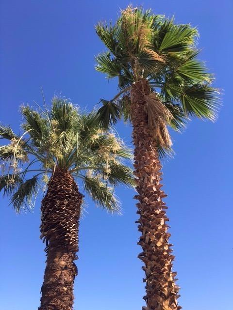 Undisclosed, Yermo, CA 92398 photo 6