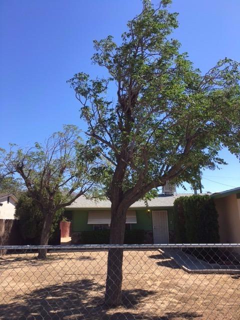 Undisclosed, Yermo, CA 92398 photo 2