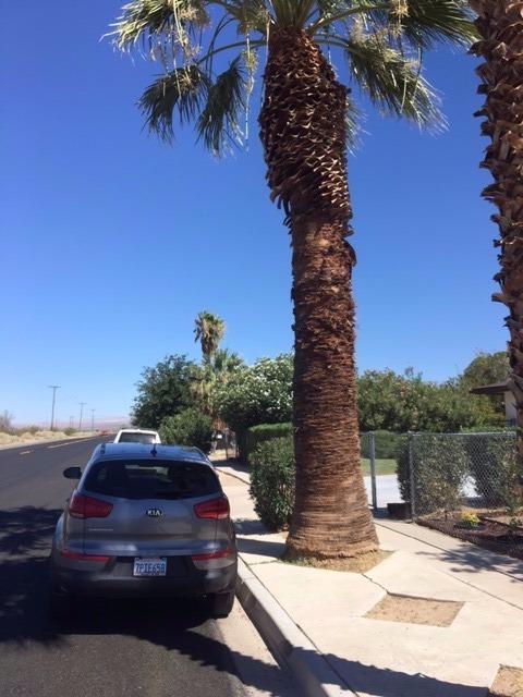 Undisclosed, Yermo, CA 92398 photo 3
