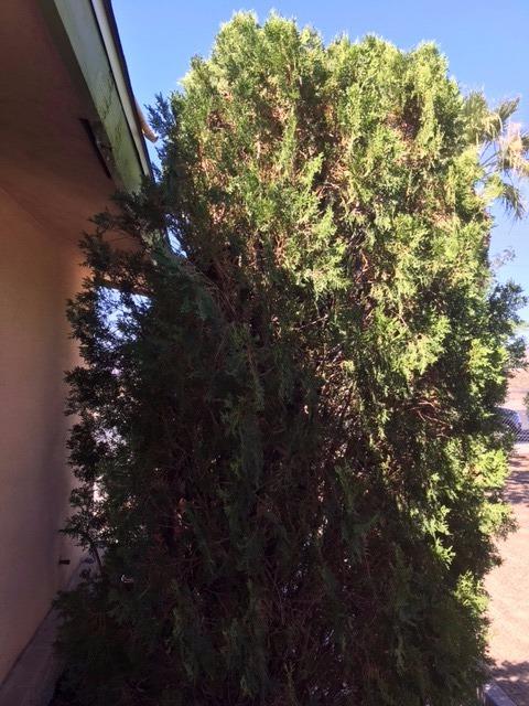 Undisclosed, Yermo, CA 92398 photo 50