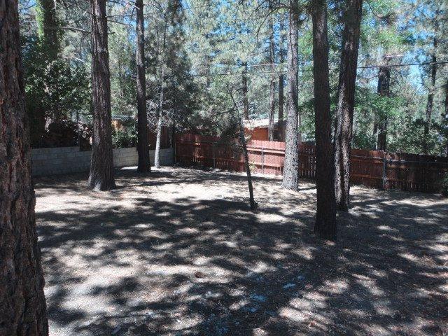 5722 Lodgepole Dr, Wrightwood, CA 92397 photo 5