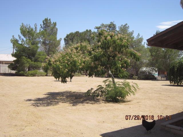 Undisclosed, Hesperia, CA 92345 photo 50