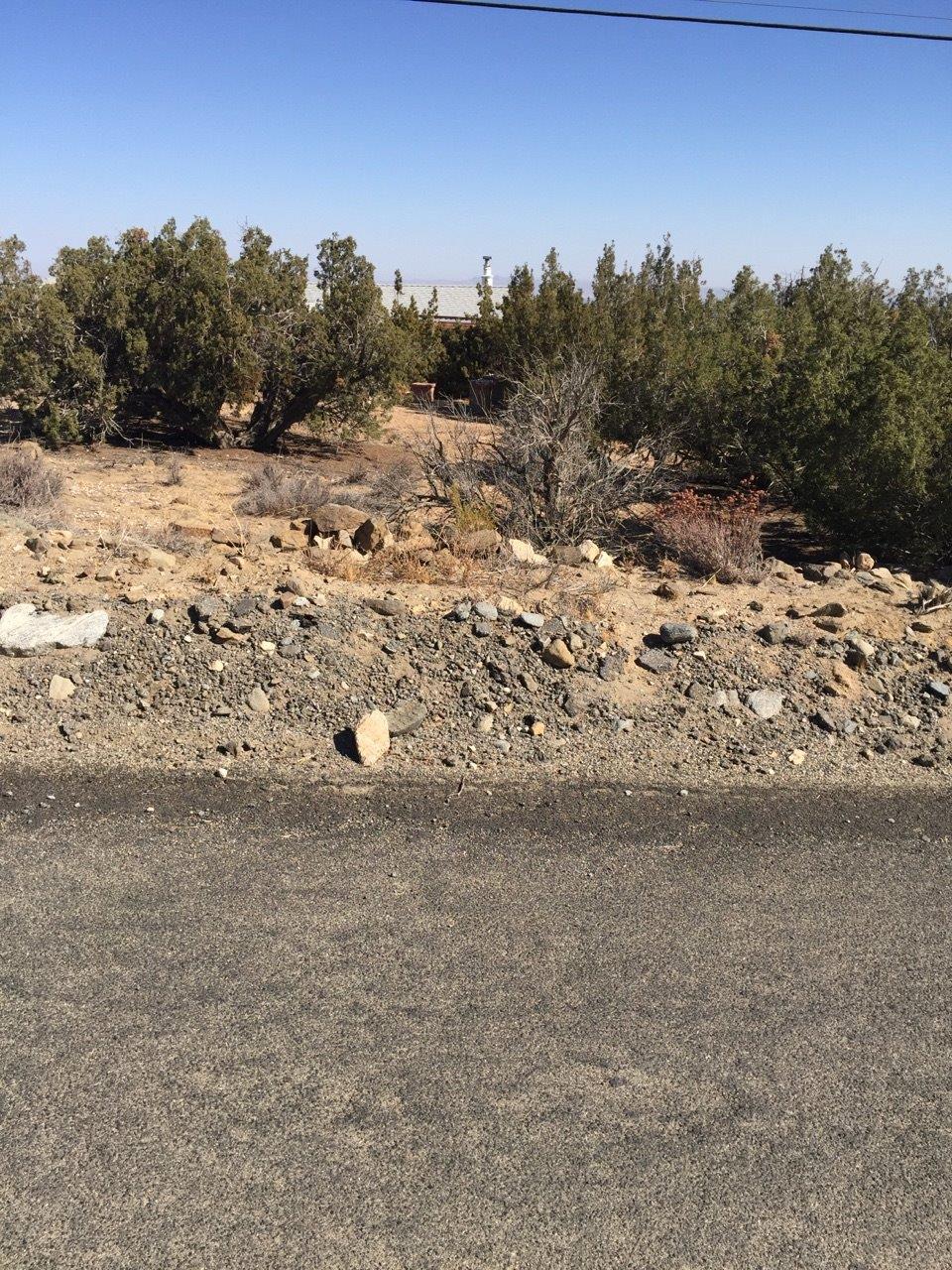 Undisclosed, Pinon Hills, CA 92372 photo 1