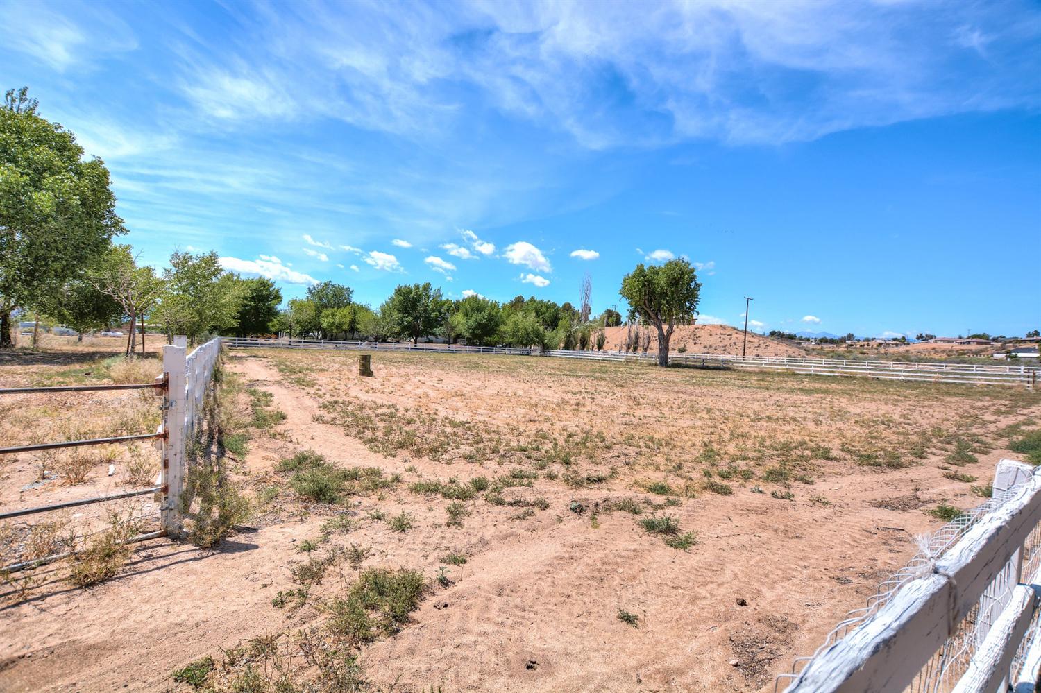 10601 Riverview Ave, Hesperia, CA 92345 photo 44