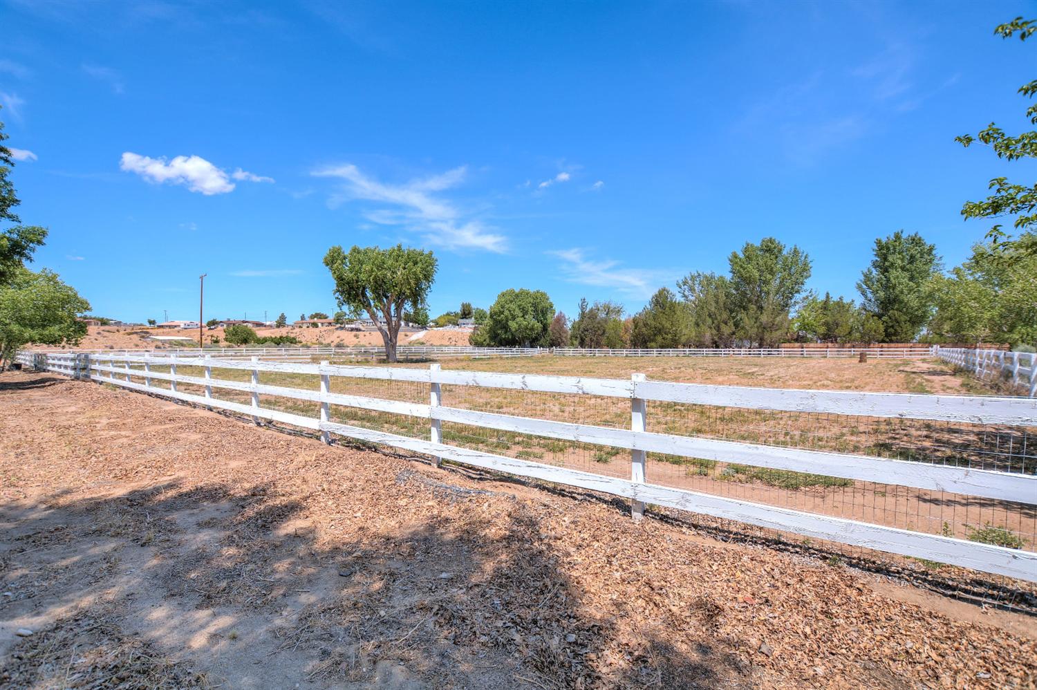 10601 Riverview Ave, Hesperia, CA 92345 photo 45