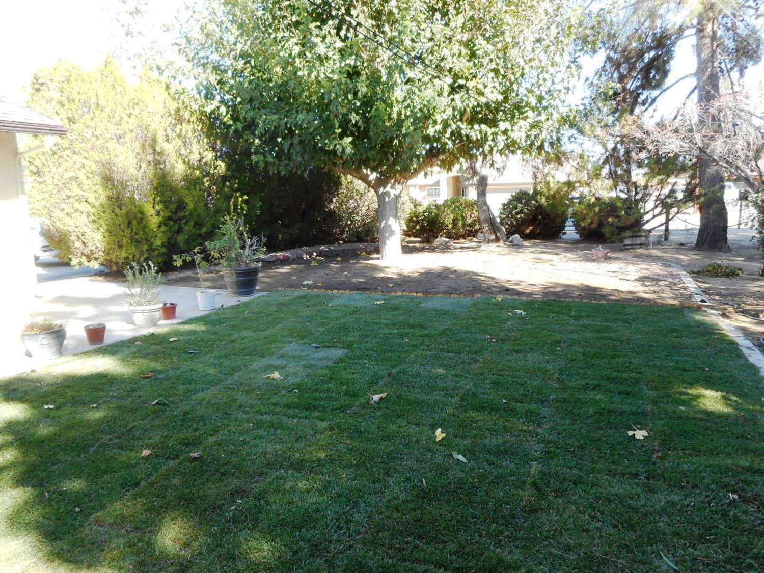 8202 Pismo Ave, Hesperia, CA 92345 photo 49