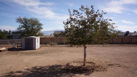 14975 Quivero Rd, Apple Valley, CA 92307 photo 18