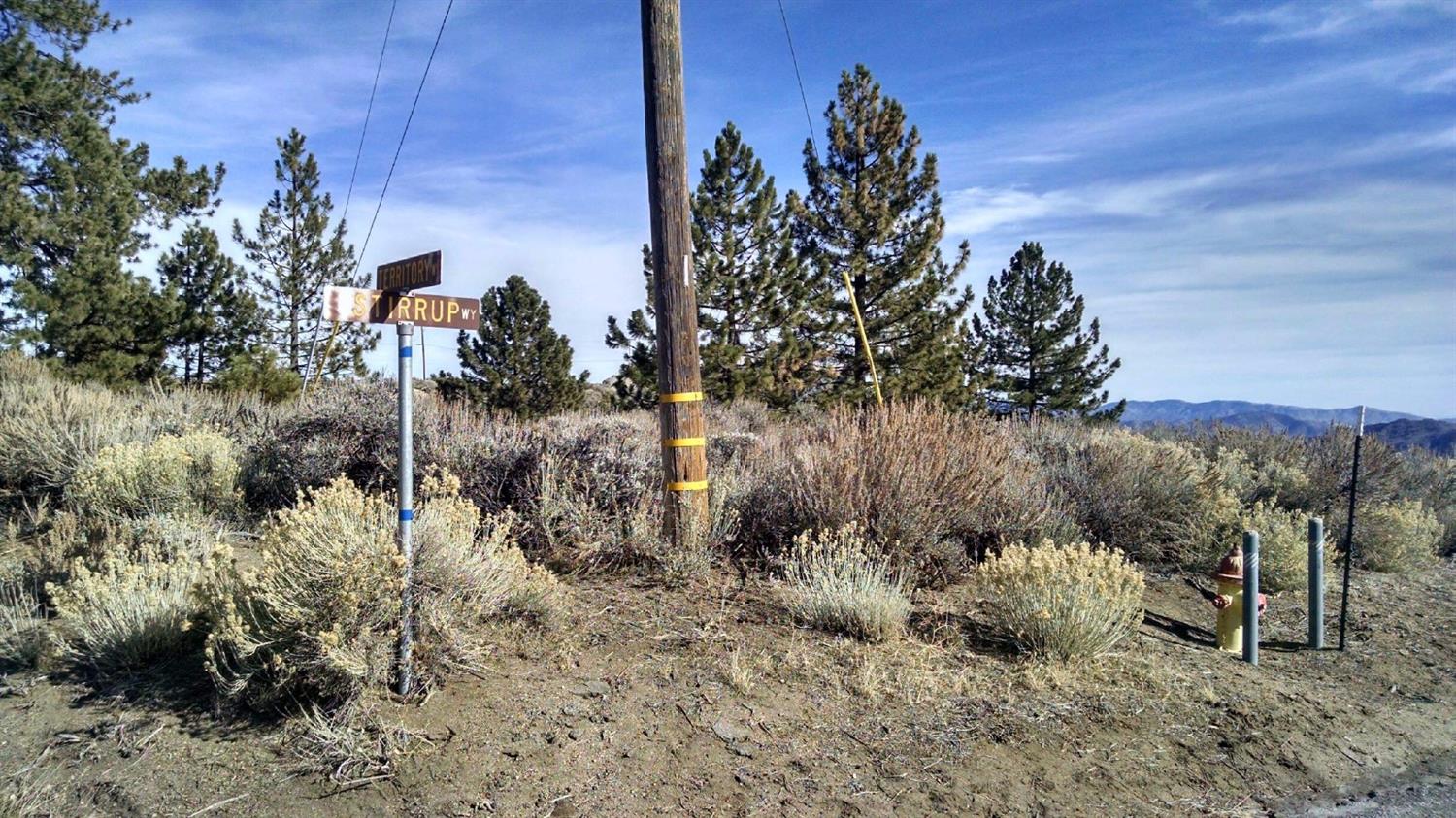 25500 Territory Way, Tehachapi, CA 93561 photo 1