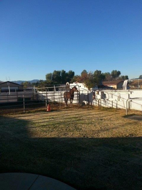 Undisclosed, Norco, CA 92860 photo 43