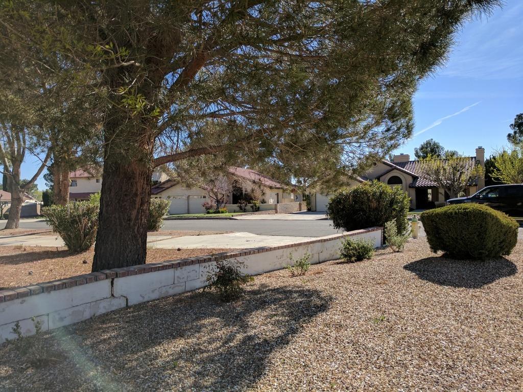 14996 Blue Grass, Helendale, CA 92342 photo 50