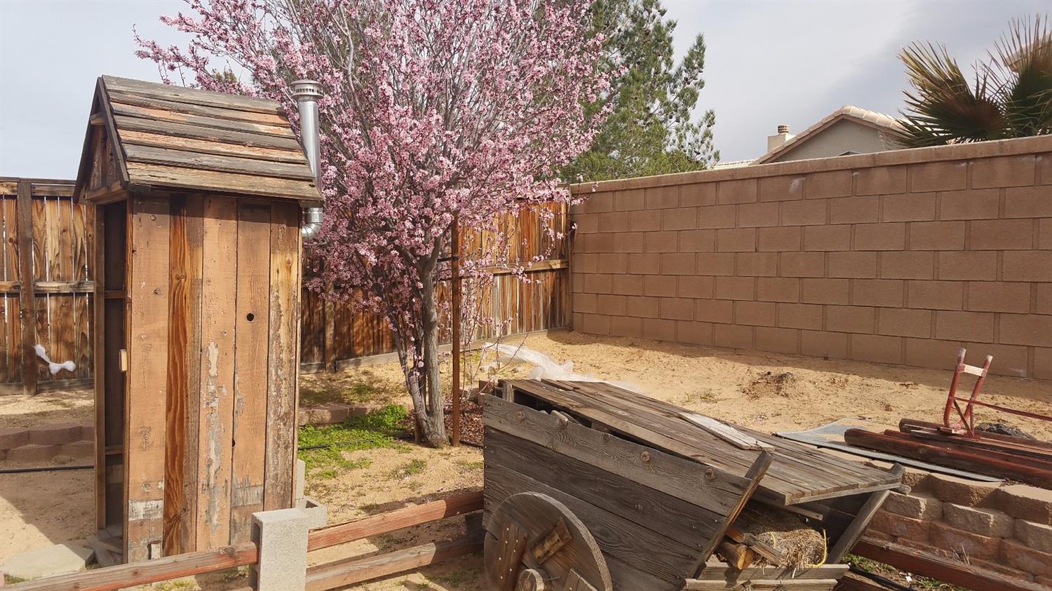 19792 Wallflower Ln, Apple Valley, CA 92308 photo 12