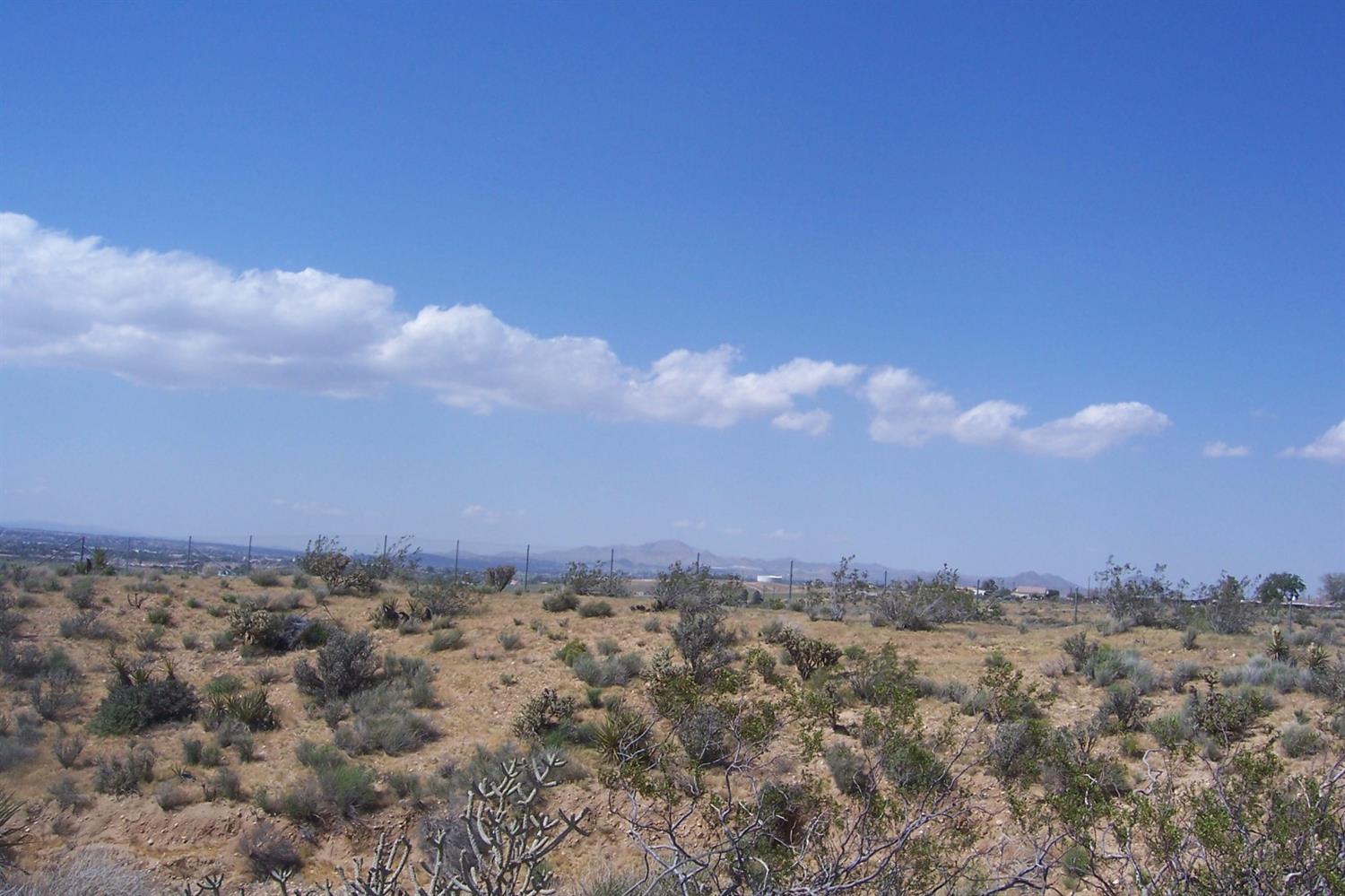 10032 Merino Ave, Apple Valley, CA 92308 photo 29