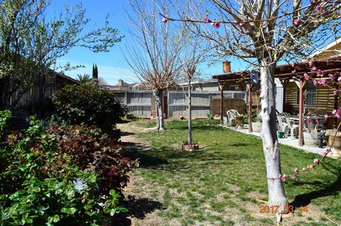 10607 Moorfield Cir, Adelanto, CA 92301 photo 13
