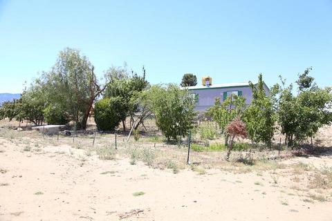 9476 Centola Rd, Phelan, CA 92371 photo 19