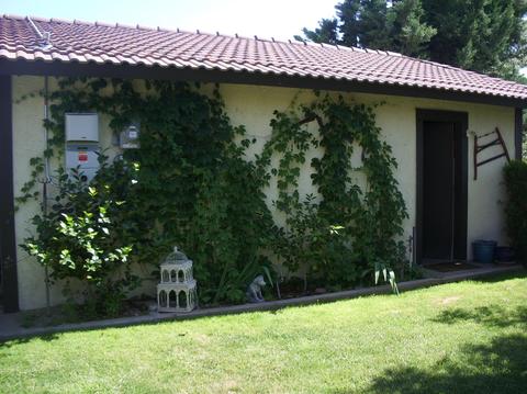 8339 9th Ave, Hesperia, CA 92345 photo 24