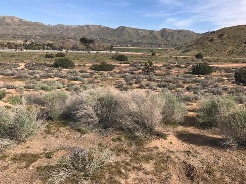 Undisclosed, Hesperia, CA 92345 photo 32