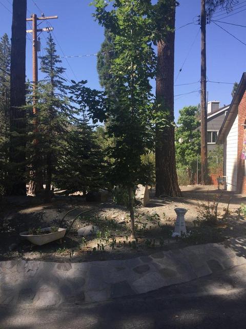 5631 Sheep Creek Rd, Wrightwood, CA 92397 photo 3
