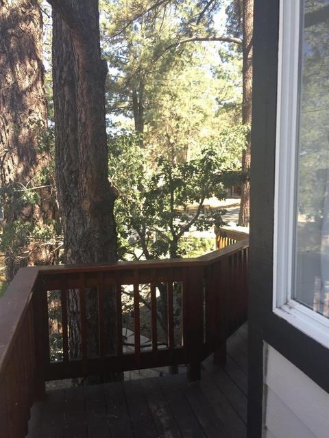 5631 Sheep Creek Rd, Wrightwood, CA 92397 photo 40