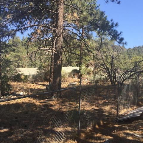 5631 Sheep Creek Rd, Wrightwood, CA 92397 photo 45