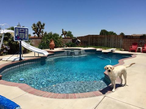 Undisclosed, Victorville, CA 92392 photo 5