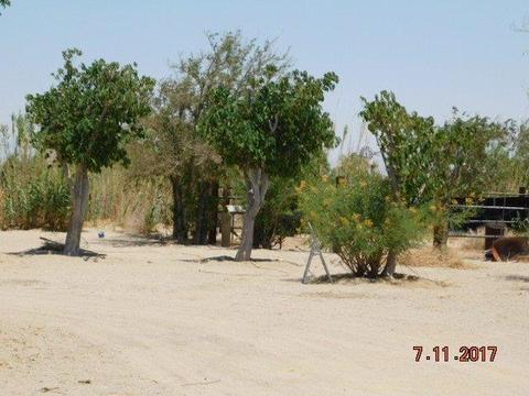 10250 Nelson Rd, Lucerne Valley, CA 92356 photo 40