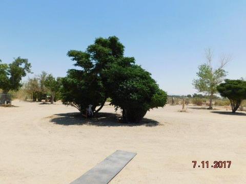 10250 Nelson Rd, Lucerne Valley, CA 92356 photo 16