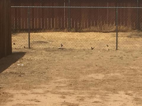 Undisclosed, Apple Valley, CA 92308 photo 21