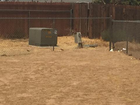Undisclosed, Apple Valley, CA 92308 photo 20