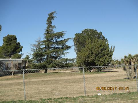 5665 Smoke Tree Rd, Phelan, CA 92371 photo 3